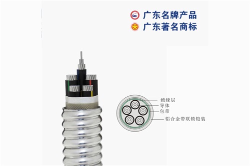 珠江電線機構倡導服務品質全方位加強