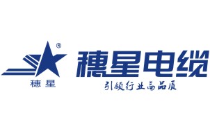 廣州電纜：找電纜網攜手廣東電纜協會共商電纜職業創新革新