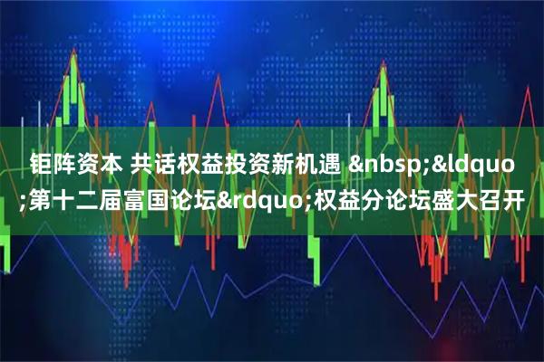 钜阵资本 共话权益投资新机遇 &nbsp;&ldquo;第十二届富国论坛&rdquo;权益分论坛盛大召开