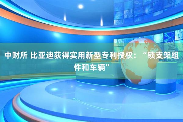 中财所 比亚迪获得实用新型专利授权：“锁支架组件和车辆”